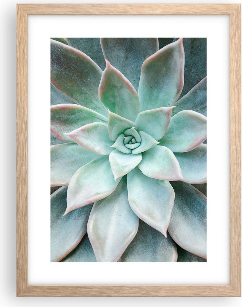 Gerahmtes Poster - Rahmen in heller Eiche - Blau Blätter Agave - 30x40 cm - Wand Bild - Wanddeko - Wandbilder - Kunstposter - Wandposter - Bilderr...