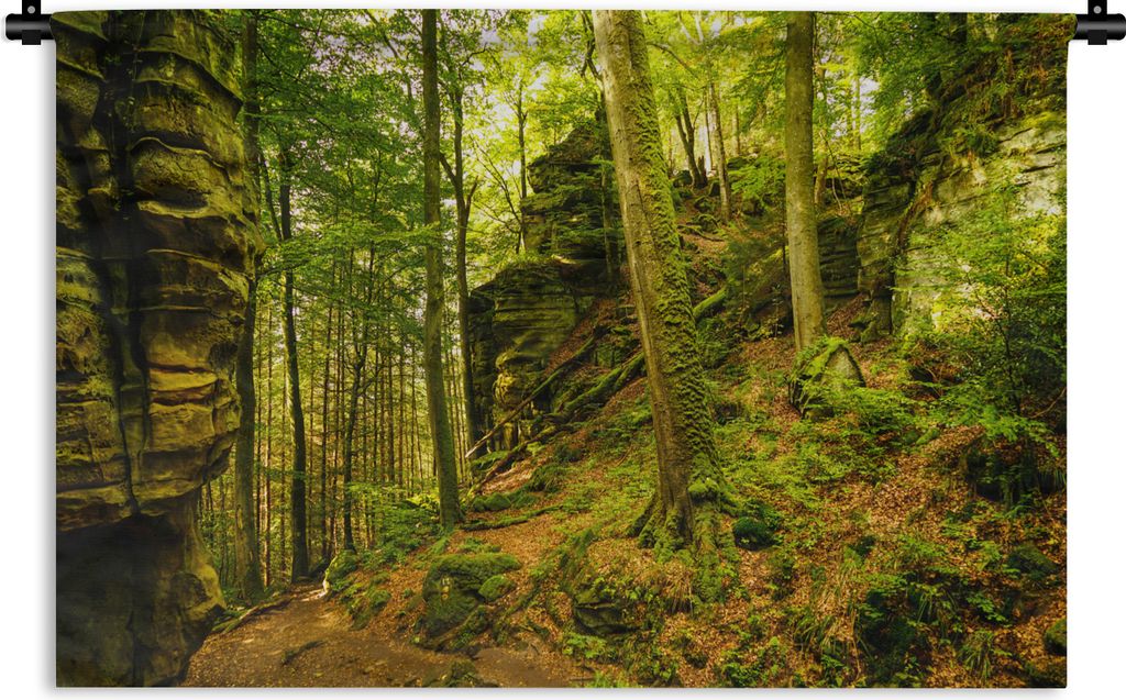 MuchoWow Wandteppich Wandbehang Bäume - Stein - Wald - Natur - Pflanzen 150x100 cm Tapisserie Dekoration Wandtuch - Waschbar - Tapisserien - Wan...