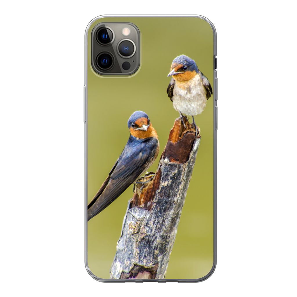 MuchoWow Handyhülle Schutzhülle Hülle für iPhone 13 Pro Max Vögel - Zweig - Porträt Silikon Softcase Handy Hülle - Mobiltelefon