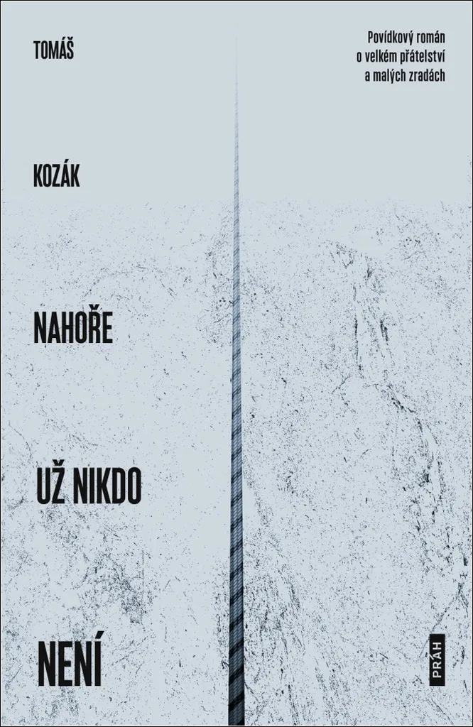 Nahoře už nikdo není par Tomáš Kozák : Roman sur l'amitié véritable