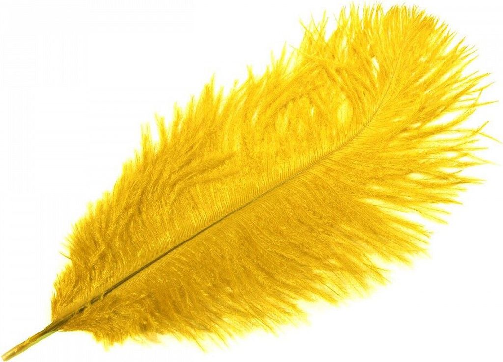 Pštrosí peří 20-25 cm, barva žlutá / 1ks Obrázek produktu 