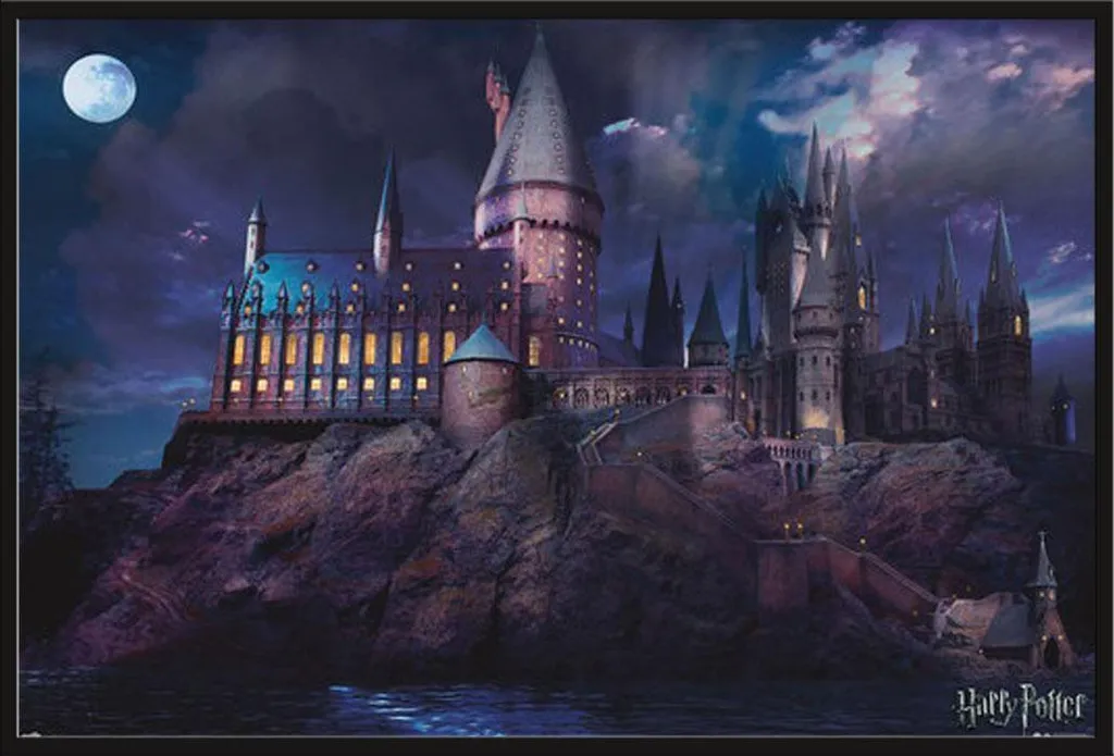 Cadre Harry Potter Poudlard 91,5x61 cm : Affiche Prête à Suspendre