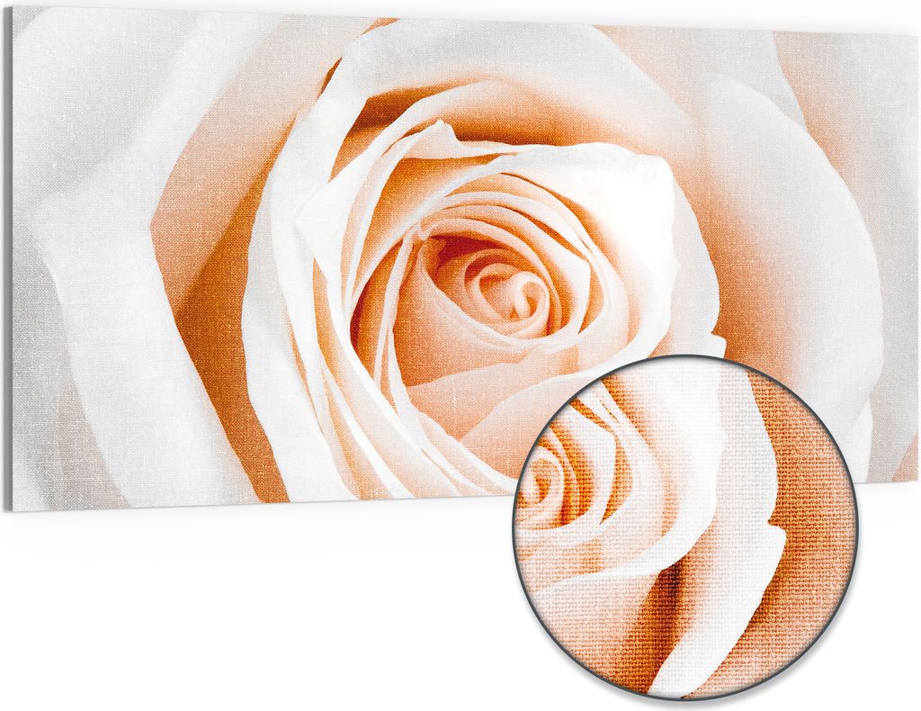 DEQORI Hybrid Leinwand Bild 100x50 cm 'Sanfte Rosenpracht' Wandbild Glas flach modern