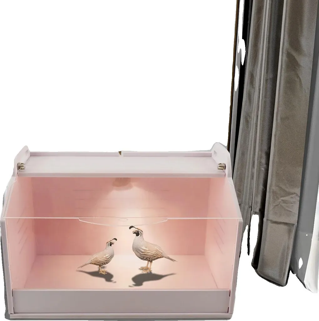 Incubateur d'œufs avec chaleur réglable et kit d'entretien complet - 24 L