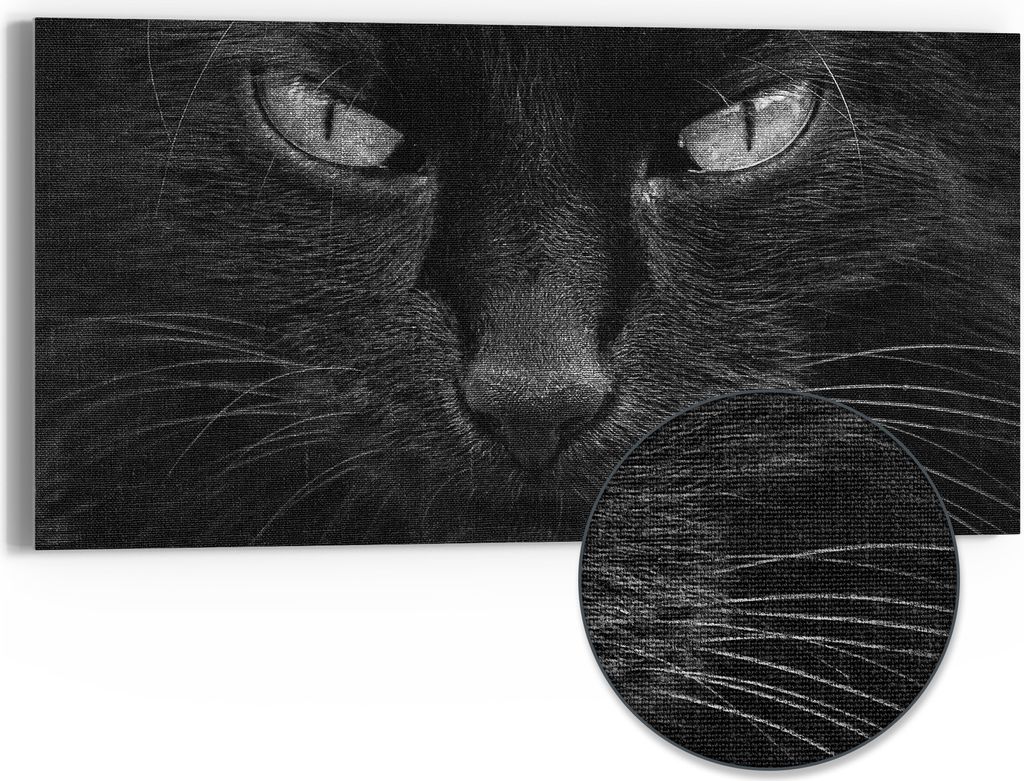 DEQORI Hybrid Leinwand Bild 60x30 cm 'Mystische Katzenaugen' Wandbild Glas flach modern
