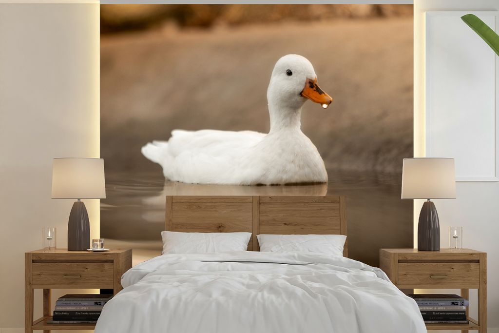 MuchoWow Fototapete für Wohnzimmer oder Schlafzimmer Wandtapete Vinyl Motivtapete Ente - Vogel - Wasser - Weiß - 300x300 cm - Wanddekoration
