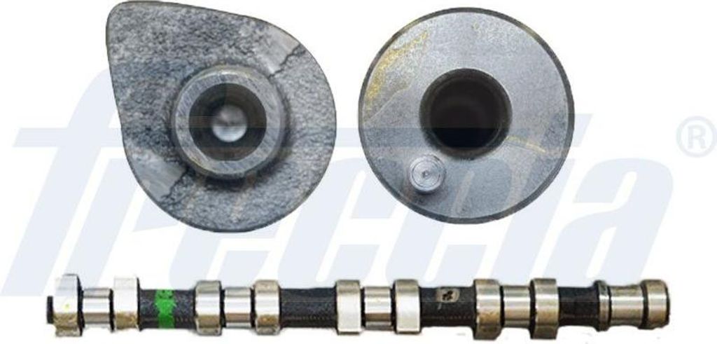 FRECCIA CM05-2174 Nockenwelle OE 5636012 kompatibel mit Daily, Panda, X5, Galaxy, Ibiza, Mondeo, Xedos 6, Proceed, A4 8E, Ranger, Trafic, Vectra, S...