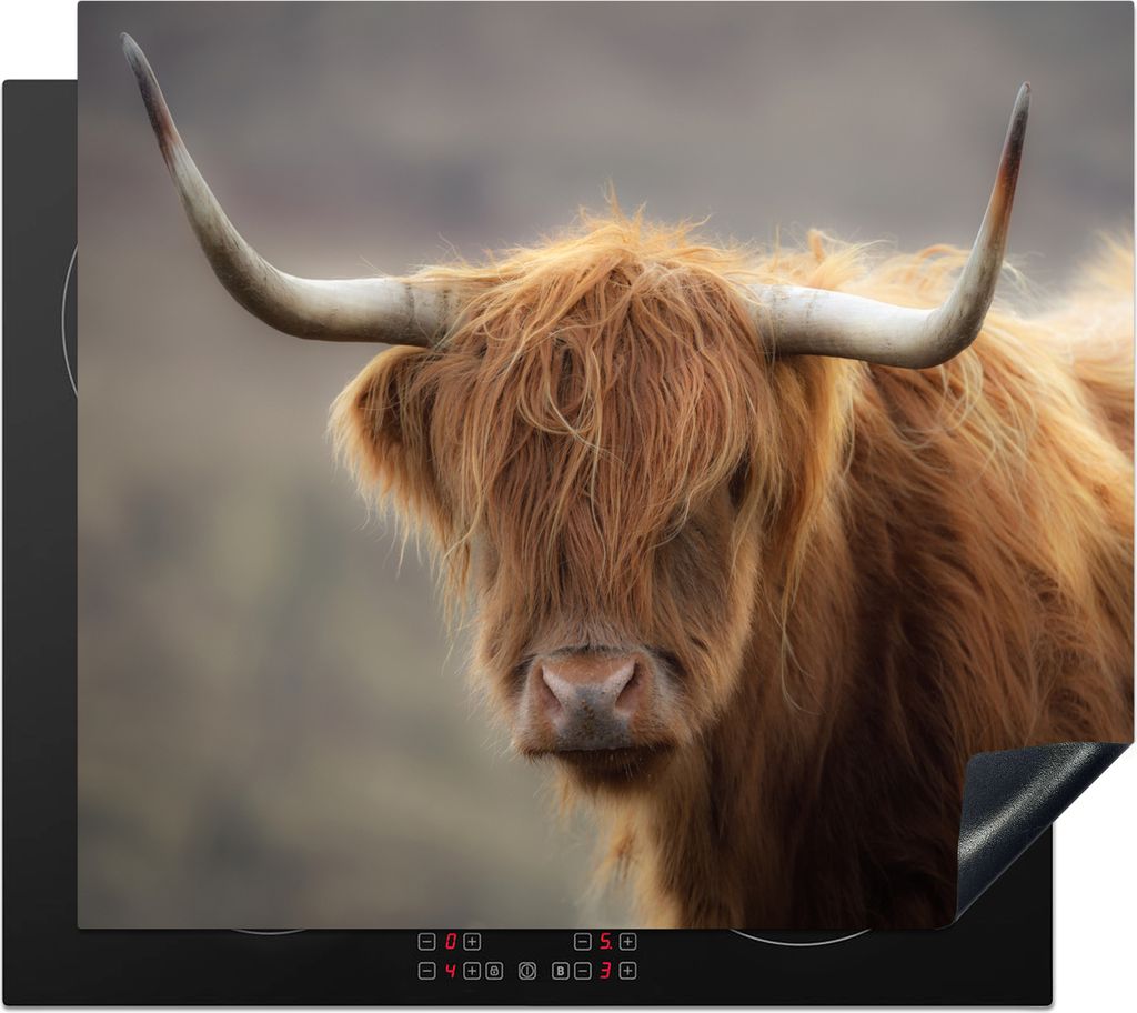 KitchenYeah Herdabdeckplatte Schottischer Highlander - Hörner - Haare , 60x52cm, Küche Deko, Ceranfeld Herdabdeckung, Abdeckplatte fùr Kochfeld