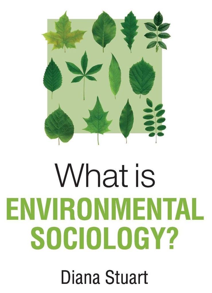 What Is Environmental Sociology – Lingua: Inglese
