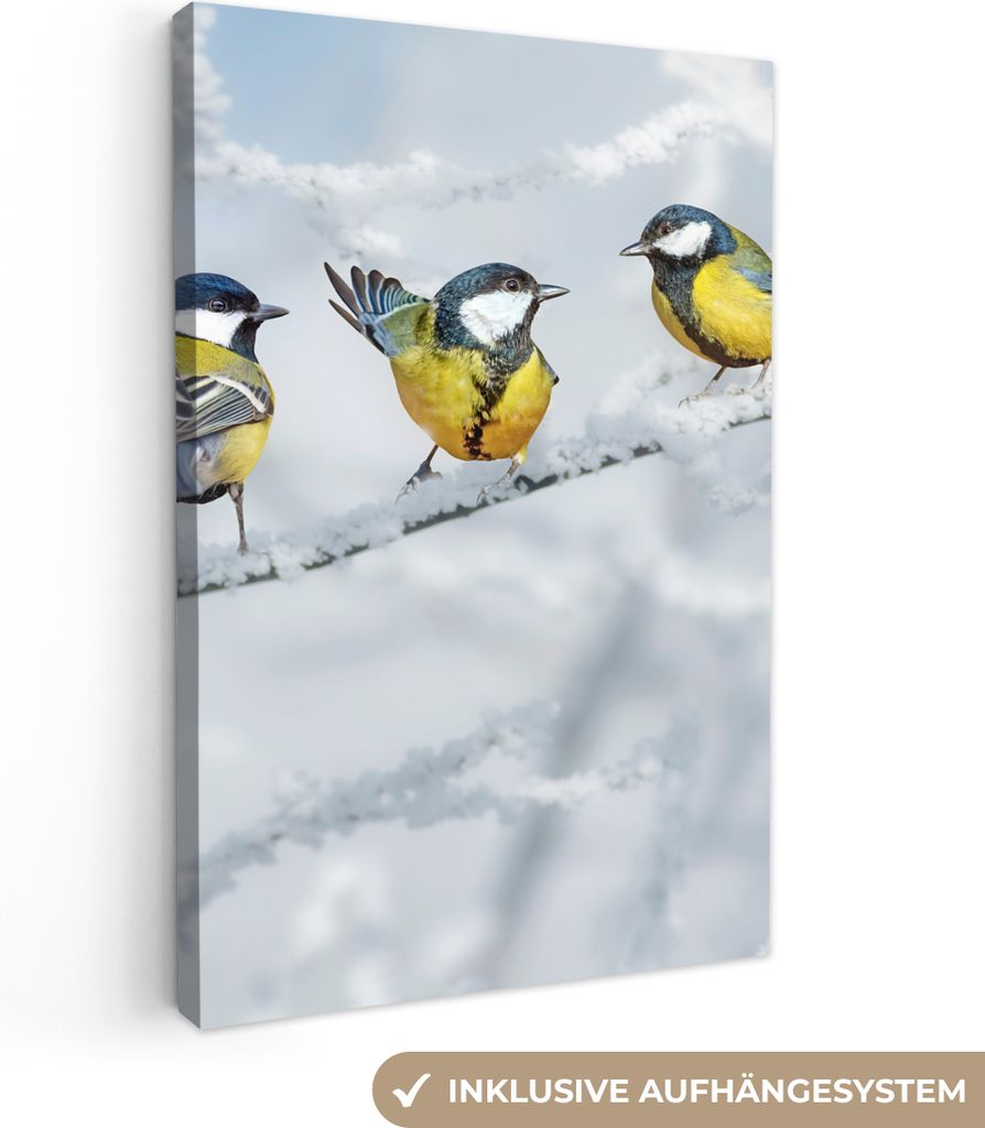 MuchoWow - Leinwandbilder - Vogel - Kohlmeise - Winter - Schnee - Zweige, Wandbild, Wanddeko Bilder Wohnzimmer, 40x60 cm
