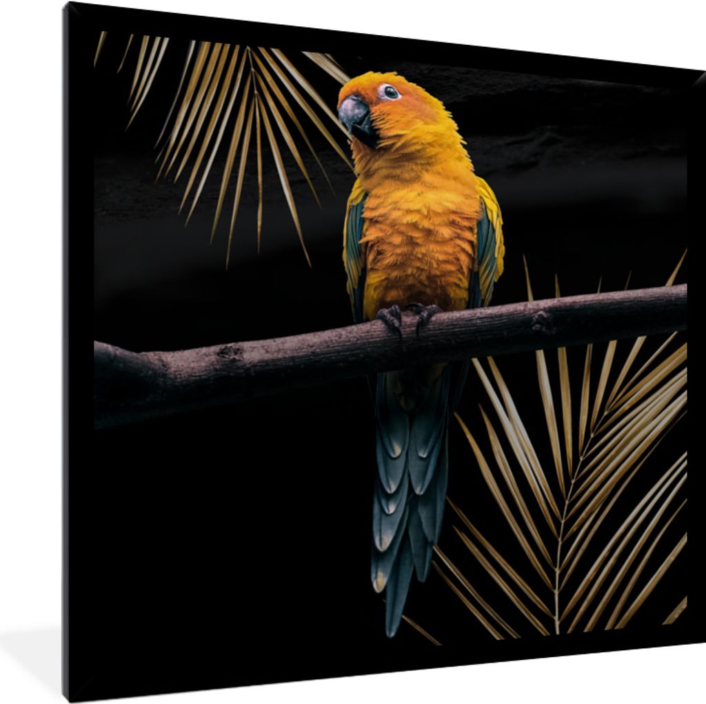 MuchoWow MuchoWow Gerahmtes Poster Vogel - Papagei - Zweig - Farn 40x40 cm - Poster mit zchwarzem Bilderrahmen - Mit Rahmen - Wanddekoration Sc...