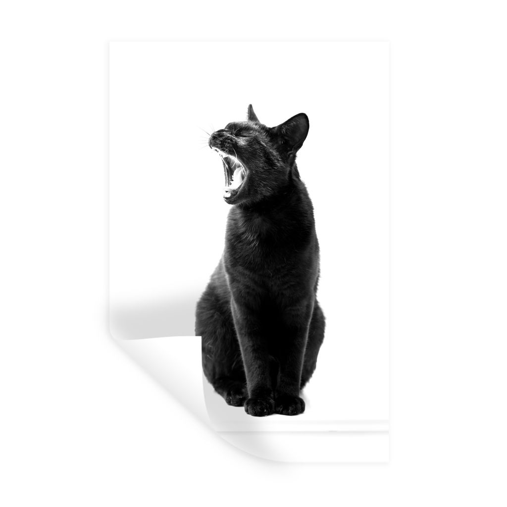 MuchoWow Wandtattoo Wandsticker Wandaufkleber Gaping schwarze Katze - schwarz und weiß 40x60 cm Selbstklebend und Repositionierbar - Wierderverw...