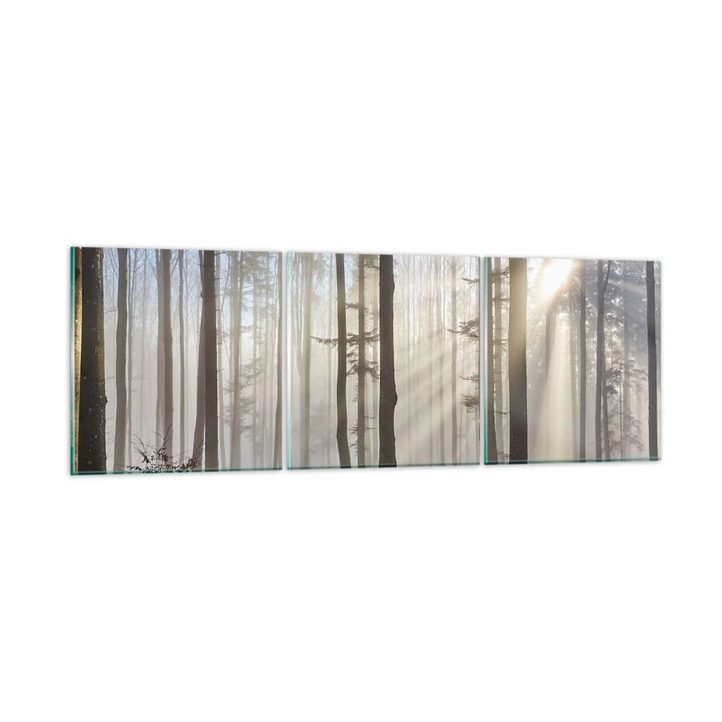 Bilder auf glas - Wald Baum Natur - 150x50cm - Glasbilder - Wandbilder - Kunstdruck - zum Aufhängen bereit - Wanddekoration aus Glas - Glas Bilder...