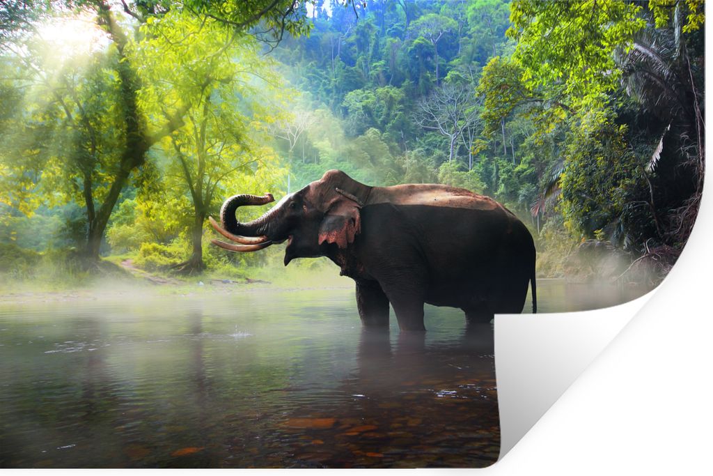 MuchoWow - Selbstklebend - Fototapeten