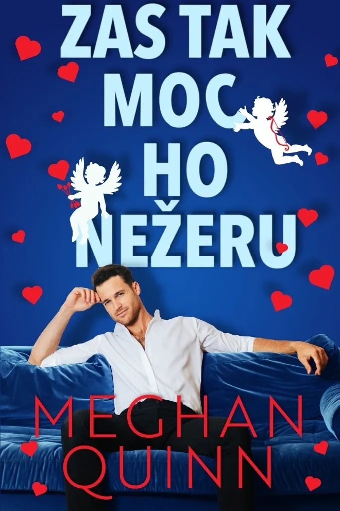 Zas Tak Moc Ho Nežeru : Le Roman contre l'Ennui signé Meghan Quinn
