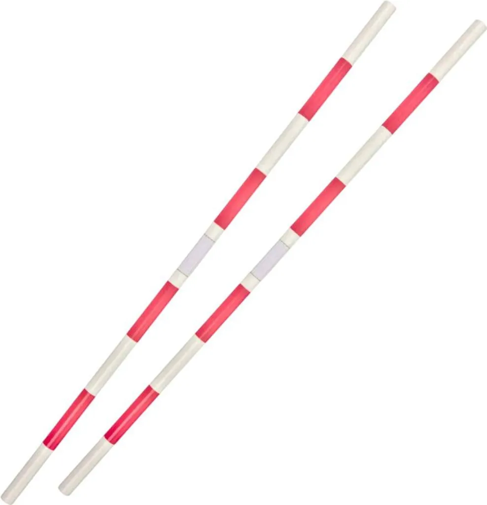 Poteaux de Haies Stables avec Supports Ajustables pour Saut d'Obstacle