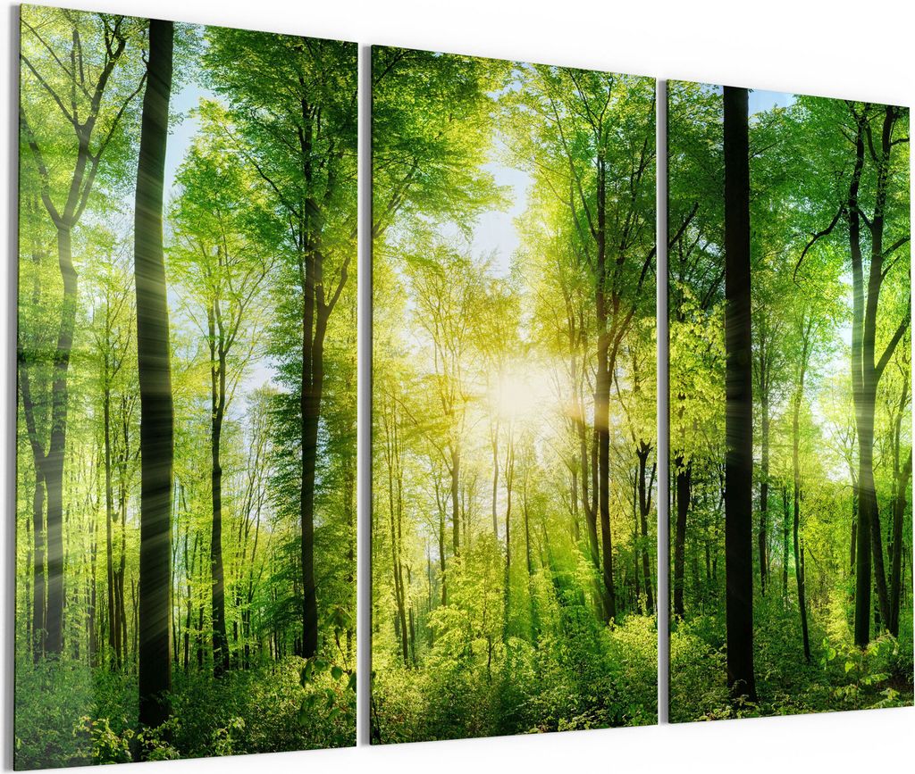 DEQORI Glasbilder Acryl 3x50x100 cm 'Sonne durchbricht Wald' Wandbilder XXL groß