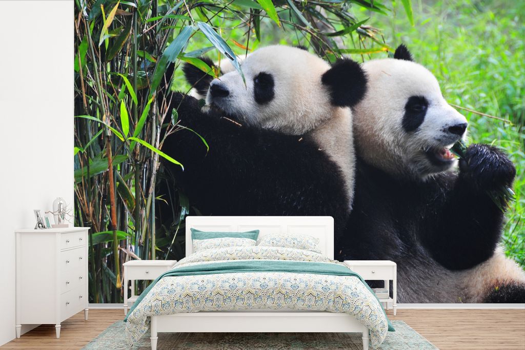 MuchoWow Fototapete für Wohnzimmer oder Schlafzimmer Wandtapete Vinyl Motivtapete Panda - Bambus - Natur - 330x220 cm - Fototapeten
