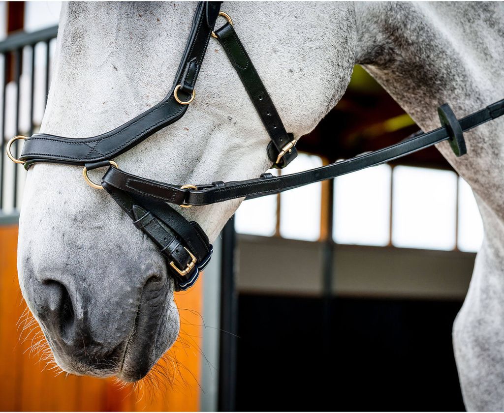 Horseware Ireland Snaffle Bridle Micklem 2 Multi Bridle Obrázek produktu 5