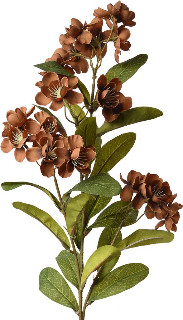 Fiore artificiale Clayre & Eef 70 cm in plastica marrone Immagine del prodotto 