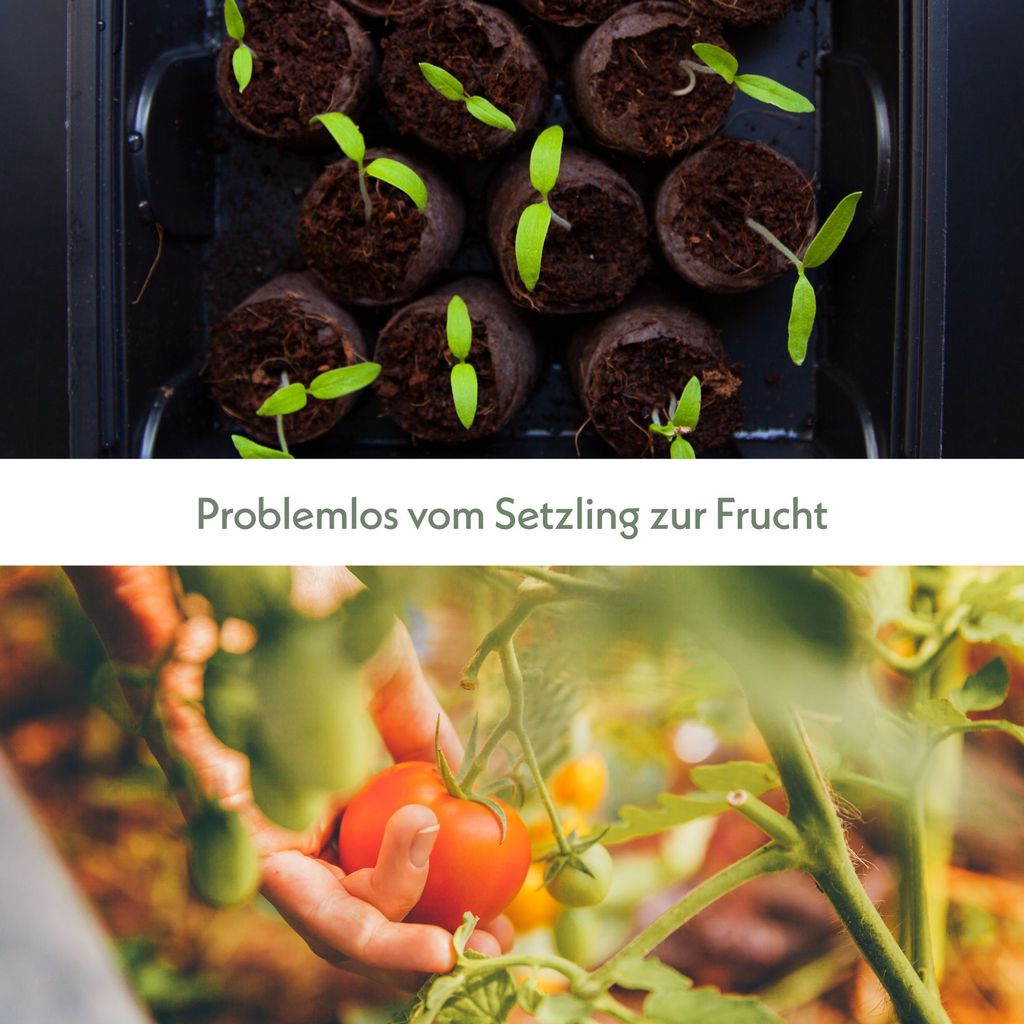 HappySeed Gewächshaus mit 12 Kokos Quelltabletten - Zur Produktbild 6