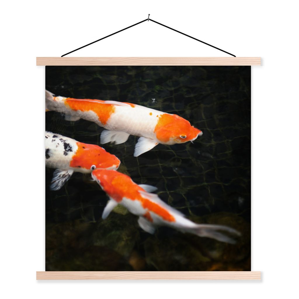 MuchoWow Textilposter Koi-Karpfen in einem flachen schwarzen Teich 40x40 cm mit holzfarbenen Rahmen - Posterleiste