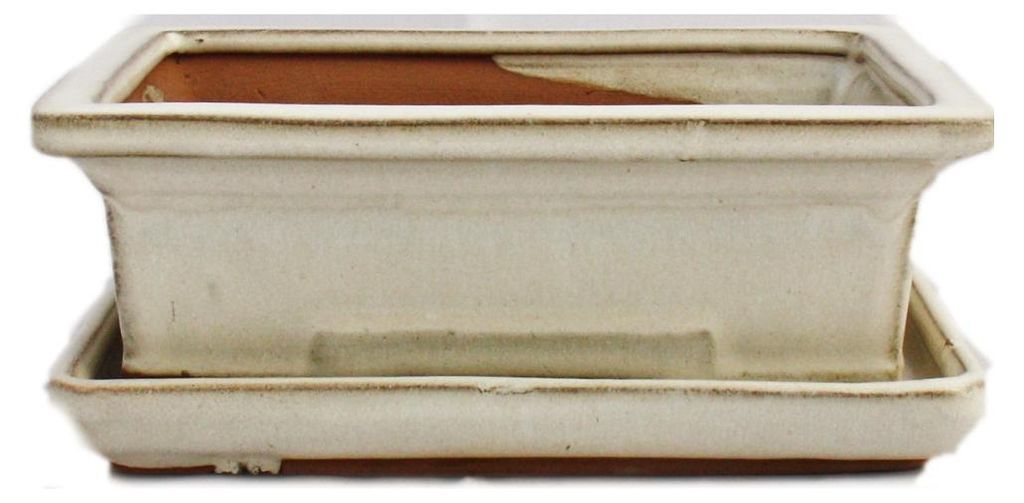 Bonsai-Schale mit Unterteller Gr. 3 - hellbeige - eckig - Modell G29 - L 18cm - B 13cm - H 6cm