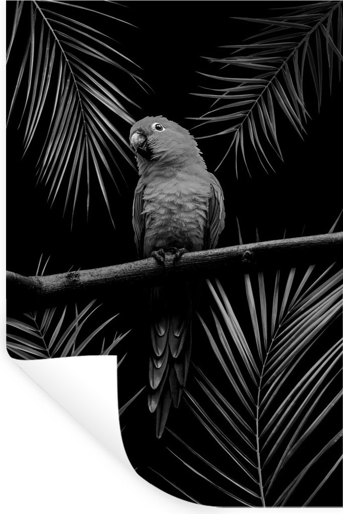 MuchoWow Wandtattoo Wandsticker Wandaufkleber Vogel auf schwarzem Hintergrund mit Palmzweigen - schwarz und weiß 60x90 cm Selbstklebend und Repo...