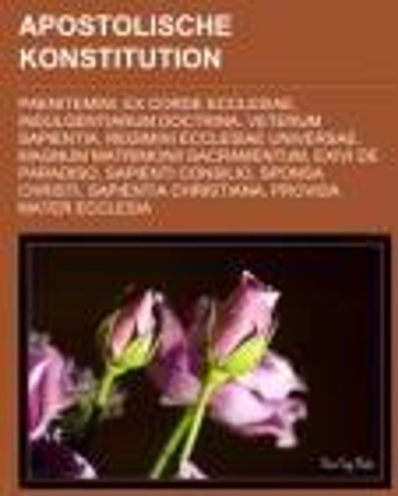 Apostolische Konstitution