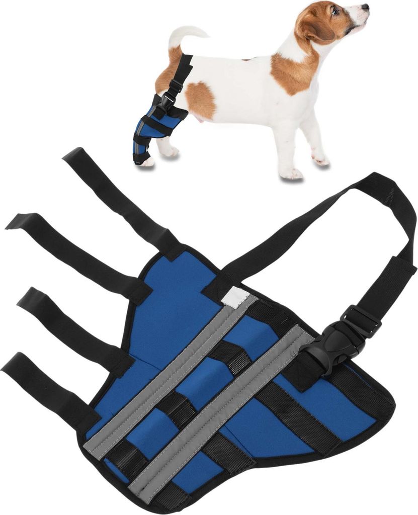 Dog Right Hinds Leg Support, Unterstützung Gelenkbandagen Knieschoner Für Hundebeine Genesung Haustieroperationen, Stabile Knieschoner Unterstüt...