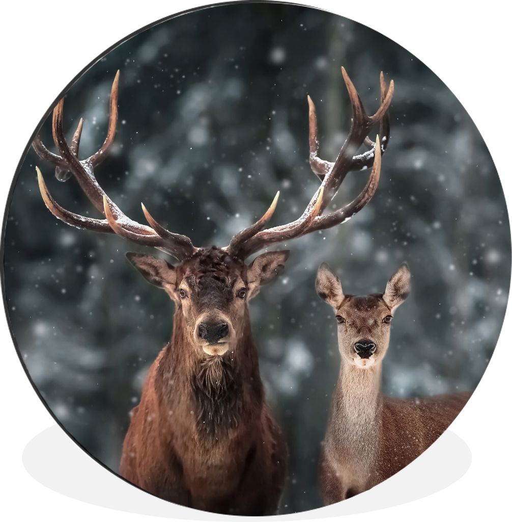 MuchoWow Aluminium Wandkreis Hirsche - Tiere - Winter - Geweih - Schnee - Natur Ø 30 cm Wanddeko Modern Wohnzimmer - Wand Bild - Wohnzimmer - Ru...