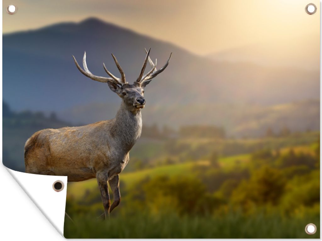 MuchoWow 40x30 cm Outdoor-Poster Gartendeko Sichtschutz Garten Poster für den Garten Hirsche - Berg - Gras - Sonnenuntergang - Tiere - Natur