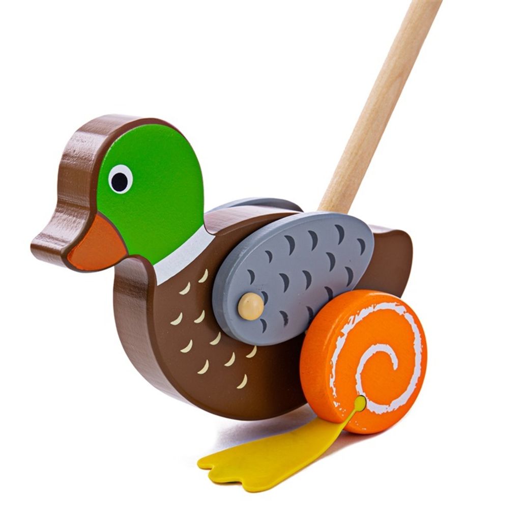 Bigjigs Push Along (Ente) (4)