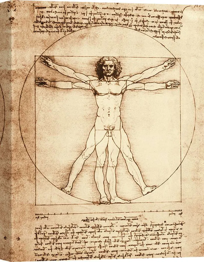 Stampa su tela - Leonardo da Vinci, L'uomo vitruviano - 60x40 cm