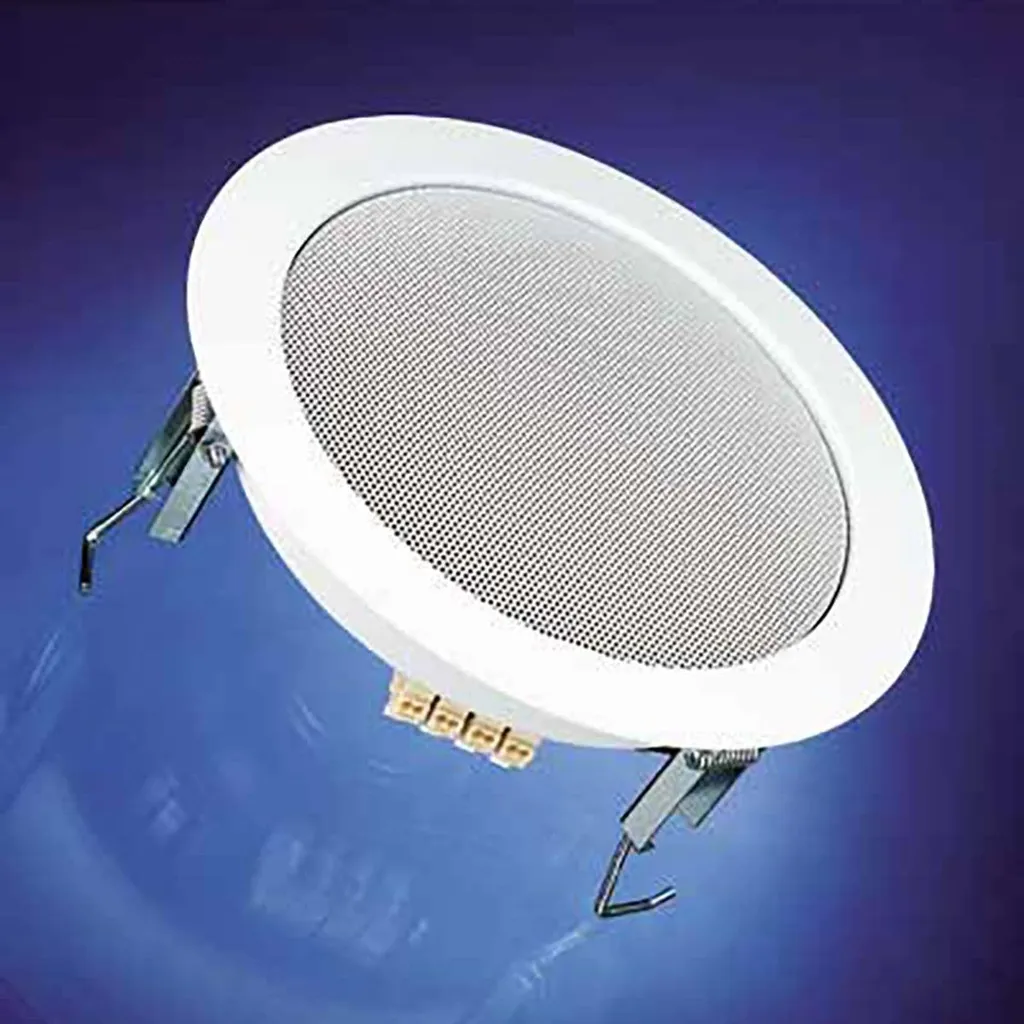 Haut-parleur de plafond Visaton 100V : Solution audio pour espaces vastes