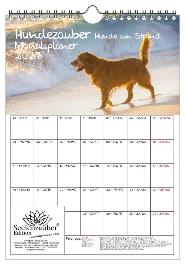 Hundezauber Hunde am Strand Planer DIN A4 Kalender für 2027 Welpen Hunde - Set-Inhalt: 1x Kalender 1x Weihnachtsanhänger 1x Grußanhänger (gesam...