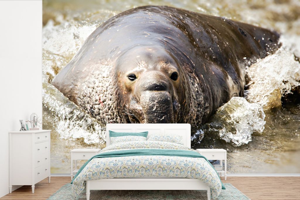 MuchoWow Fototapete für Wohnzimmer oder Schlafzimmer Wandtapete Vinyl Motivtapete Tiere - Wasser - Strand - 450x300 cm - Gemusterte
