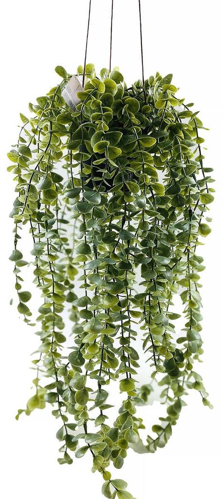 Hängende Kunstpflanze SENECIO, 60 cm Produktbild 