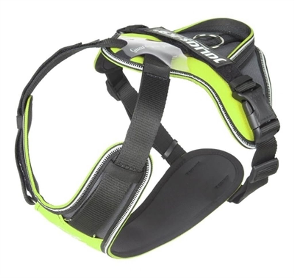 Julius k9 Idc Hundegeschirr Longwalk neongelb/grau