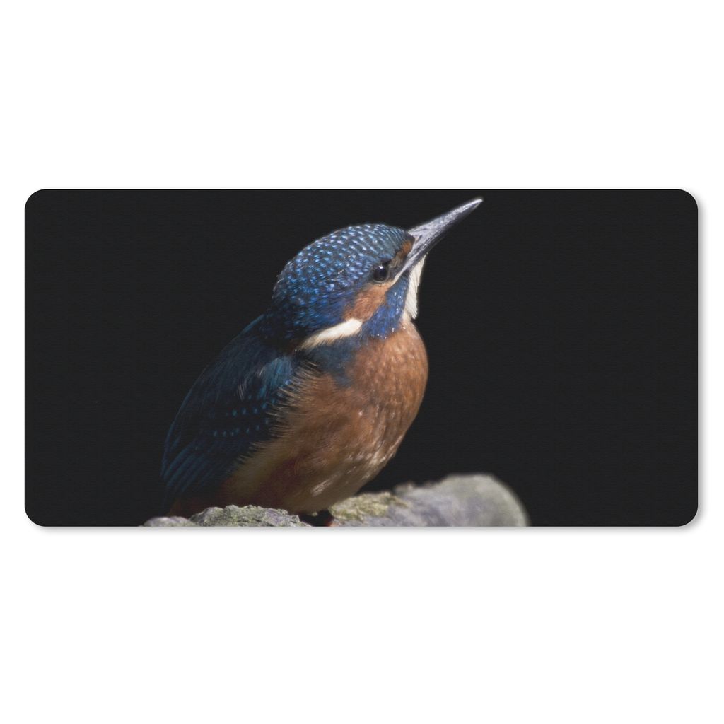 MuchoWow Mauspad Mousepad Eisvogel - Zweig - Federn - Schwarz 60x30 cm - Mousepads - Maus Mat - Pad - Mausunterlage - Nachhaltig