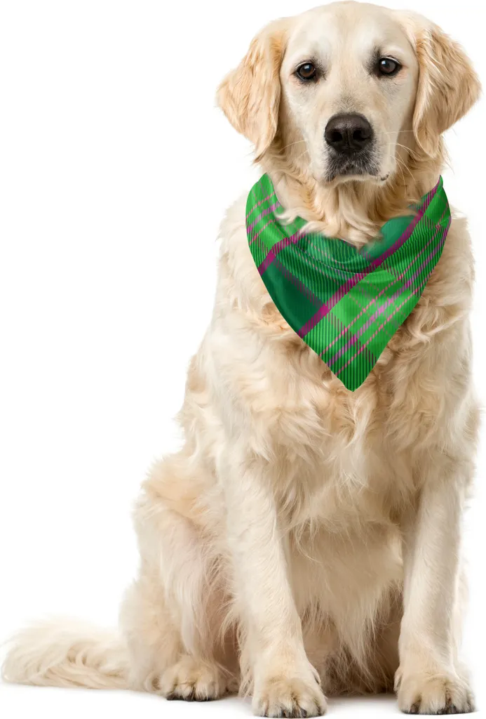 Foulard Cane ABAKUHAUS 55x55 cm | Look Tartan Astratto Verde Magenta