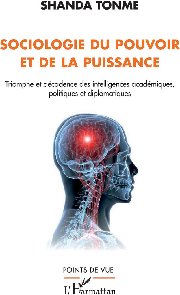 Sociologie du pouvoir et de la puissance