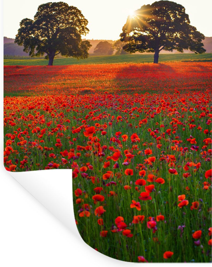 MuchoWow Wandtattoo Wandsticker Wandaufkleber Ein Mohnfeld mit zwei großen Bäumen 40x60 cm Selbstklebend und Repositionierbar - Wierderverwendb...