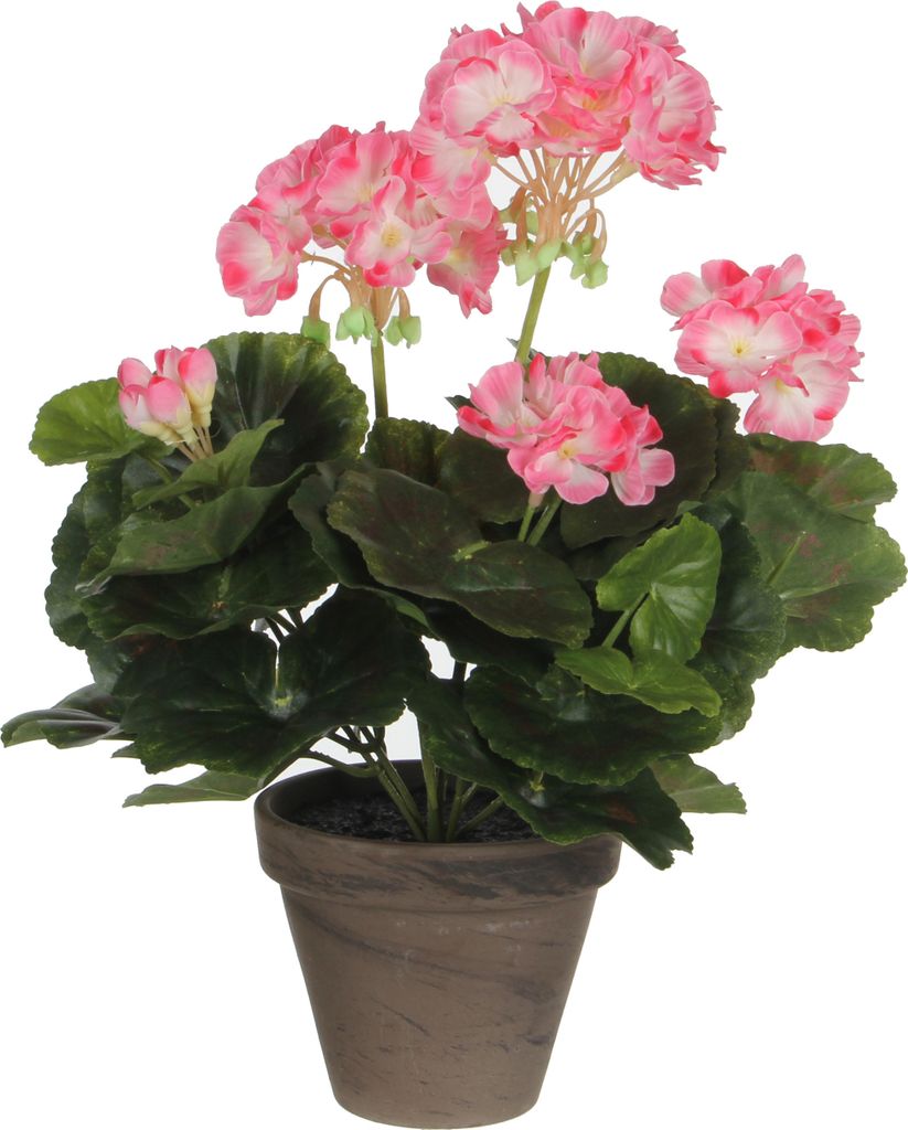 Mica Decorations Geranien Kunstpflanze im Blumentopf Stan - H34 x Ø20 cm - Rosa, weiß