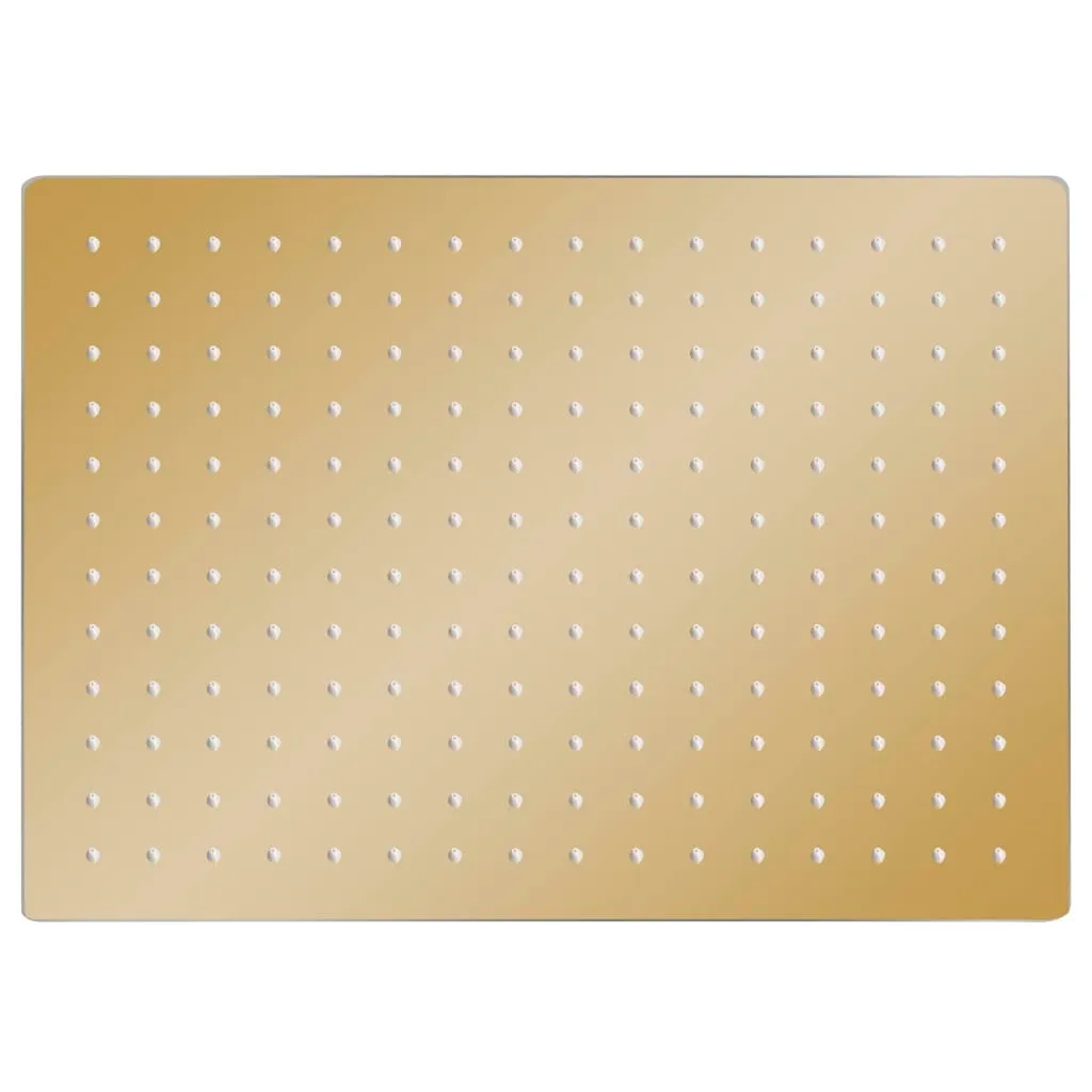 Soffione vidaXL Golden 40x30 | Doccia Pioggia Acciaio Inox Anticalcare