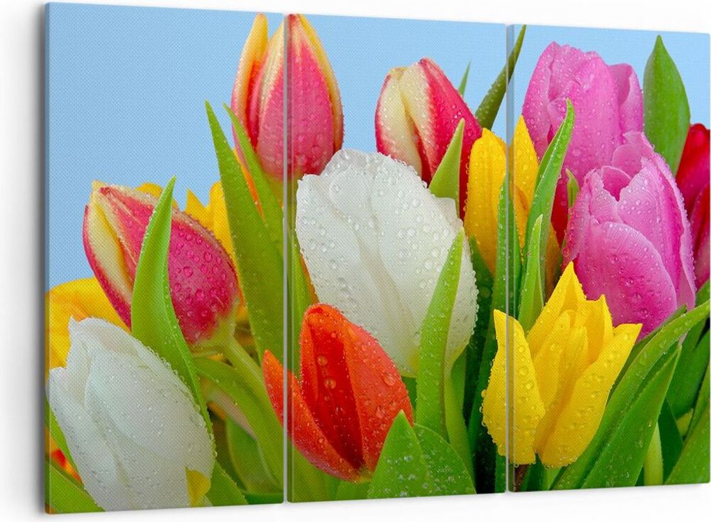 Bild auf Leinwand - Leinwandbild - Tulpen Blumenstrauß Blumen Tau - 105x70cm - Wand Bild - Wanddeko - Leinwanddruck - Bilder - Kunstdruck - Wandde...