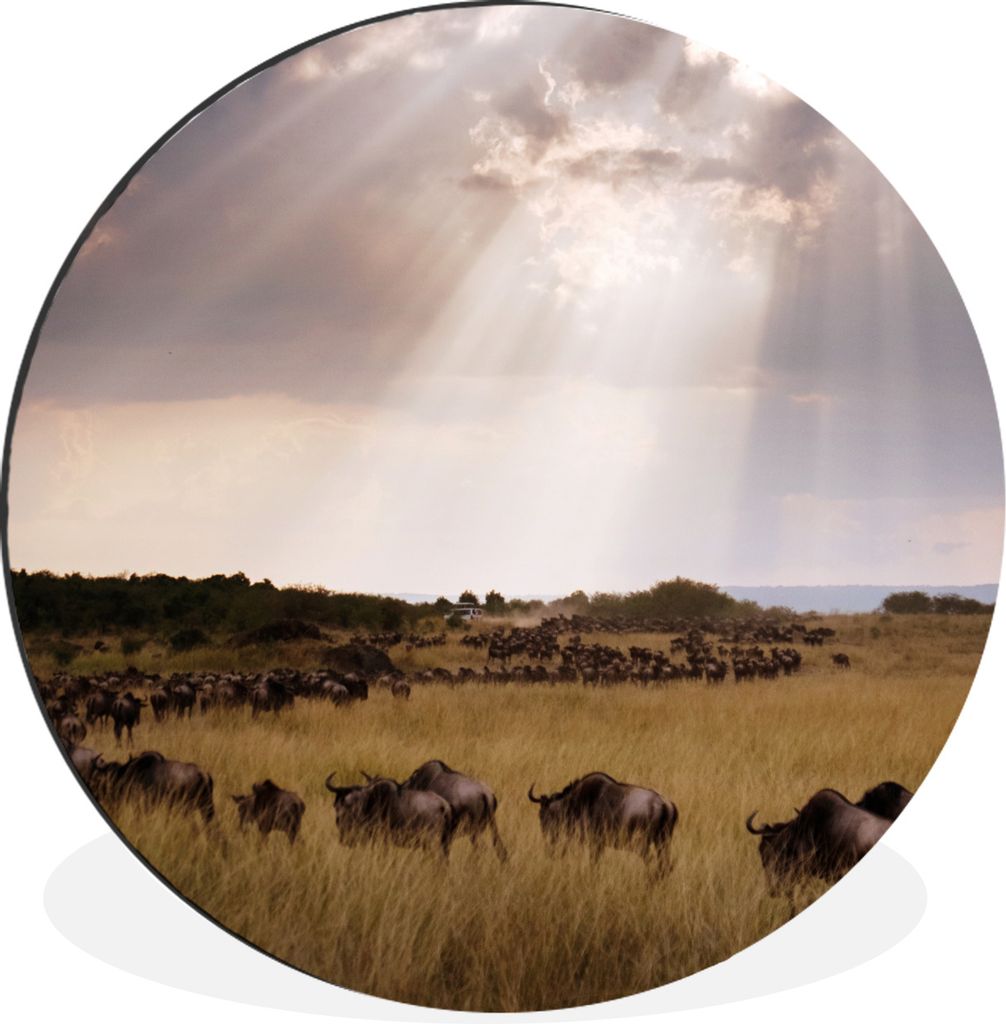 MuchoWow Aluminium Wandkreis Sonnenstrahlen auf Gewitterwolken im Masai Mara National Park in Kenia Ø 30 cm Wanddeko Modern Wohnzimmer - Wand Bi...