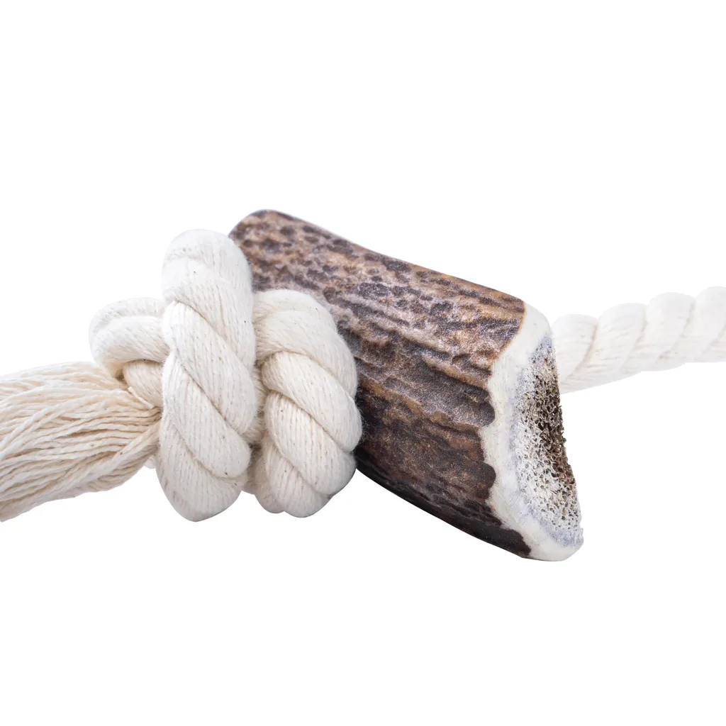 Offerta RF-DEER Corda Corna di Cervo Cani - Gioco Durevole 60cm - 2