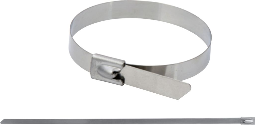 Befestigungselemente aus Edelstahl, 4,6x200mm, SS304, 20 Stück.