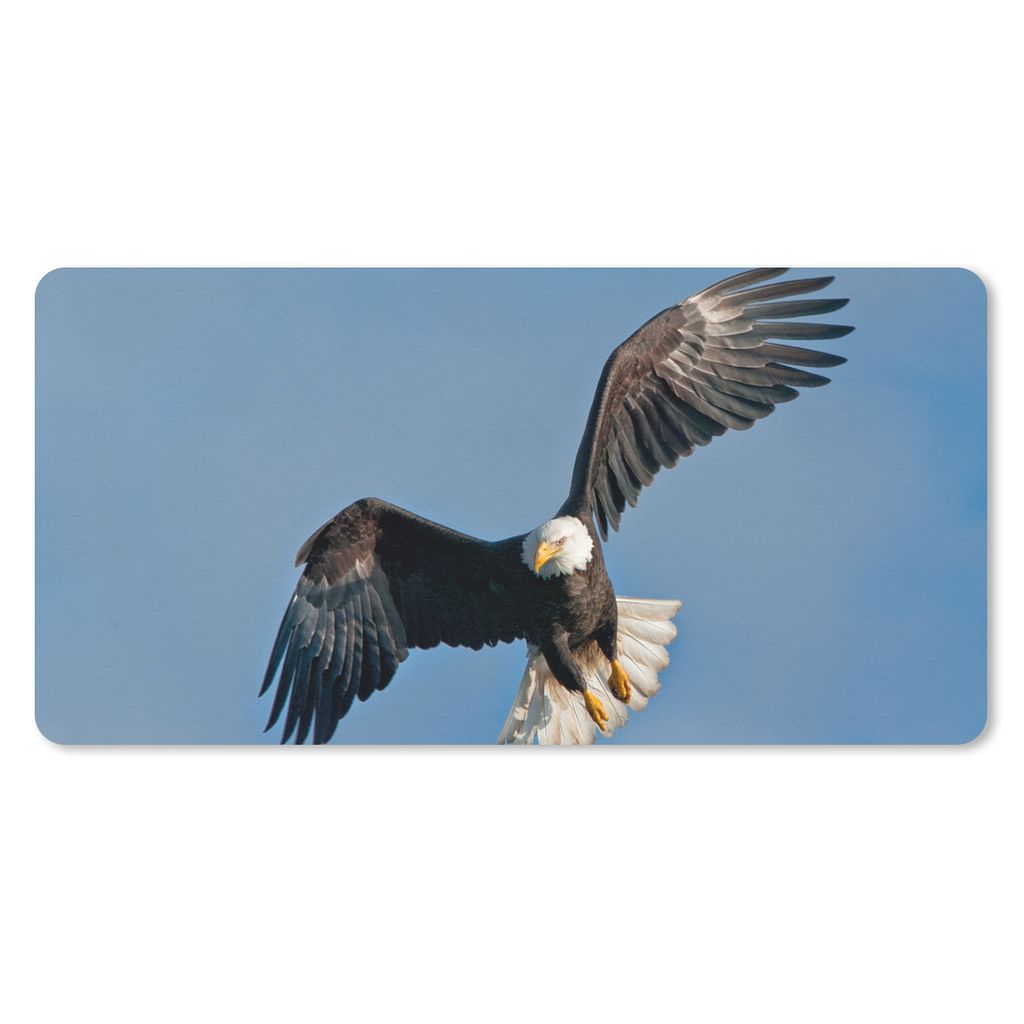MuchoWow Schreibtischunterlage Ein amerikanischer Weißkopfseeadler am blauen Himmel 80x40 cm - XXL Mauspad - Gaming Mauspad